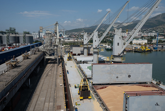 Россия сохраняет лидерство в рейтинге крупнейших экспортеров пшеницы шестой год подряд