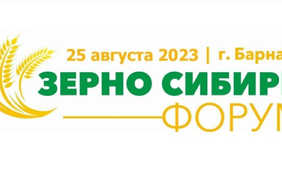 Треть зерна федерального интервенционного фонда хранится на зернохранилищах Сибирского федерального округа